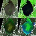 2016-06-30-00 00 2016-06-30-23 59 Sentinel-2 L2A -quad