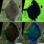 2026-06-08-00 00 2026-06-08-23 59 Sentinel-2 L2A -quad