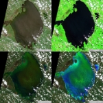 2026-07-10-00 00 2026-07-10-23 59 Sentinel-2 L2A -quad