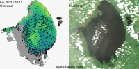 sentinel-3.2025171.0620.1506 1544C.ab.L3.FL3.v960V20233 2 4.CIcyano-Crop+Truecolor