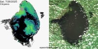 sentinel-3.2025207.0726.1511 1613C.ab.L3.FL3.v960V20233 2 4.CIcyano-Crop+Truecolor