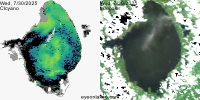 sentinel-3.2025211.0730.1507 1609C.ab.L3.FL3.v960V20233 2 4.CIcyano-Crop+Truecolor