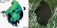 sentinel-3.2025216.0804.1539C.b.L3.FL3.v960V20233 2 4.CIcyano-Crop+Truecolor
