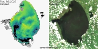 sentinel-3.2025217.0805.1513 1551C.ab.L3.FL3.v960V20233 2 4.CIcyano-Crop+Truecolor