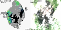 sentinel-3.2025222.0810.1522C.a.L3.FL3.v960V20233 2 4.CIcyano-Crop+Truecolor