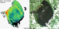 NCCOS HAB Images