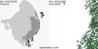 sentinel-3.2025235.0823.1547C.b.L3.FL3.v960V20233 2 4.CIcyano-Crop+Truecolor
