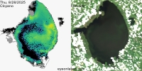 sentinel-3.2025240.0828.1517 1555C.ab.L3.FL3.v960V20233 2 4.CIcyano-Crop+Truecolor