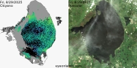 sentinel-3.2025241.0829.1529C.a.L3.FL3.v960V20233 2 4.CIcyano-Crop+Truecolor
