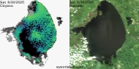 sentinel-3.2025242.0830.1503 1605C.ab.L3.FL3.v960V20233 2 4.CIcyano-Crop+Truecolor