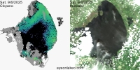 sentinel-3.2025249.0906.1522C.a.L3.FL3.v960V20233 2 4.CIcyano-Crop+Truecolor