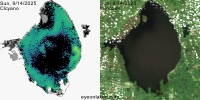 sentinel-3.2025257.0914.1514C.a.L3.FL3.v960V20233 2 4.CIcyano-Crop+Truecolor