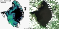 sentinel-3.2025267.0924.1517 1555C.ab.L3.FL3.v960V20233 2 4.CIcyano-Crop+Truecolor