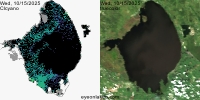 sentinel-3.2025288.1015.1511 1613C.ab.L3.FL3.v960V20233 2 4.CIcyano-Crop+Truecolor