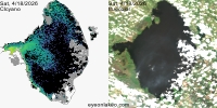 sentinel-3.2026108.0418.1515C.a.L3.FL3.v9110V20255 2 4.CIcyano-Crop+Truecolor