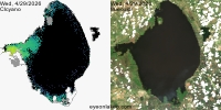 sentinel-3.2026119.0429.1529 1530C.a.L3.FL3.v9110V20255 2 4.CIcyano-Crop+Truecolor