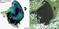 sentinel-3.2026166.0615.1511 1613C.ab.L3.FL3.v9110V20255 2 4.CIcyano-Crop+Truecolor