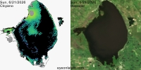 sentinel-3.2026172.0621.1517 1555C.ab.L3.FL3.v9110V20255 2 4.CIcyano-Crop+Truecolor