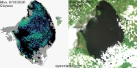 sentinel-3.2026222.0810.1521 1559C.ab.L3.FL3.v9110V20255 2 4.CIcyano-Crop+Truecolor