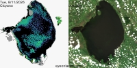 sentinel-3.2026223.0811.1533C.a.L3.FL3.v9110V20255 2 4.CIcyano-Crop+Truecolor