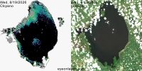 sentinel-3.2026231.0819.1526C.a.L3.FL3.v9110V20255 2 4.CIcyano-Crop+Truecolor