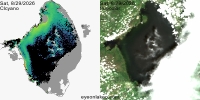sentinel-3.2026241.0829.1528 1606C.ab.L3.FL3.v9110V20255 2 4.CIcyano-Crop+Truecolor