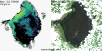 sentinel-3.2026243.0831.1515C.a.L3.FL3.v9110V20255 2 4.CIcyano-Crop+Truecolor
