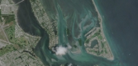 Seagrasses at Sailfish Flats