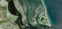 Seagrasses at Sailfish Flats